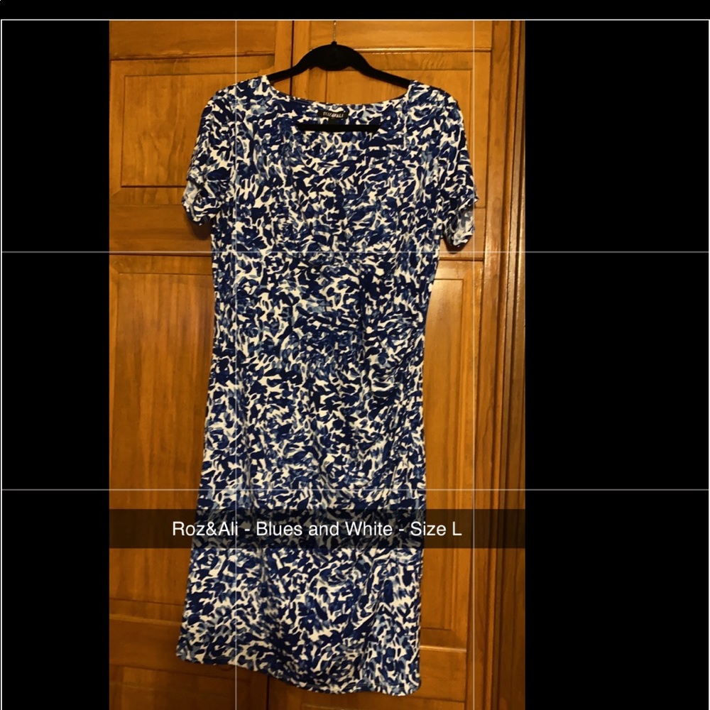 Roz&Ali Dress - Size L Blue/White